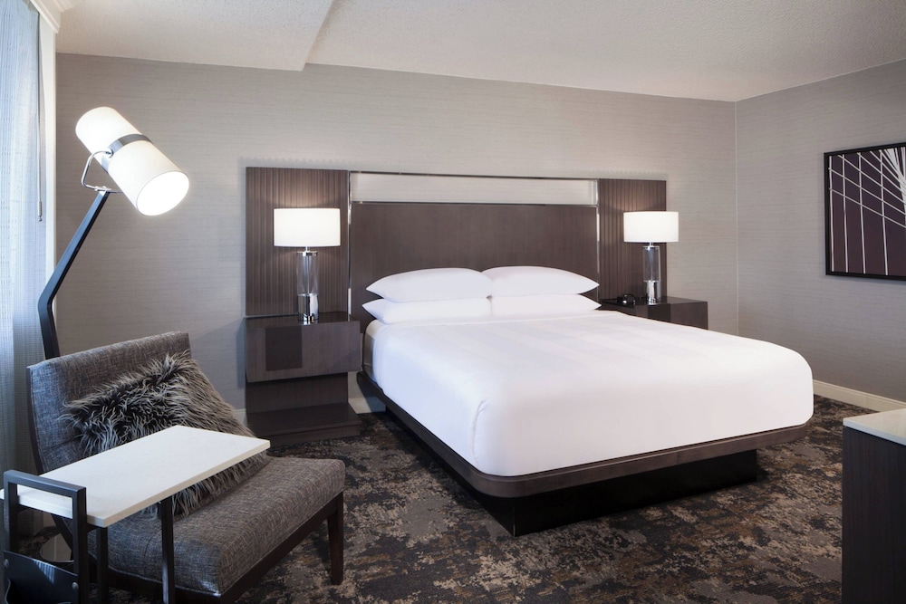 Dallas Fort Worth Airport Marriott - photo 11