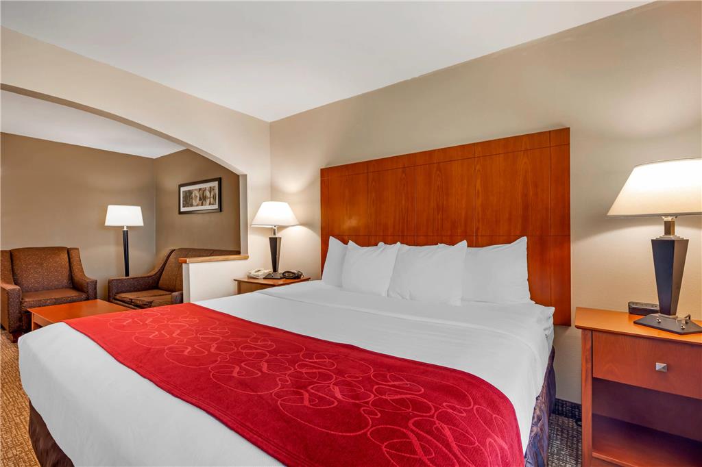 Comfort Suites North Dallas - photo 19