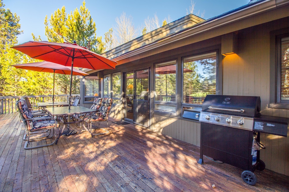 Tan Oak 15 - photo 2