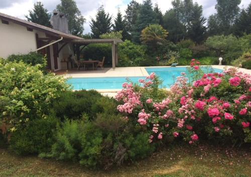 Les Oliviers — Sanguinet