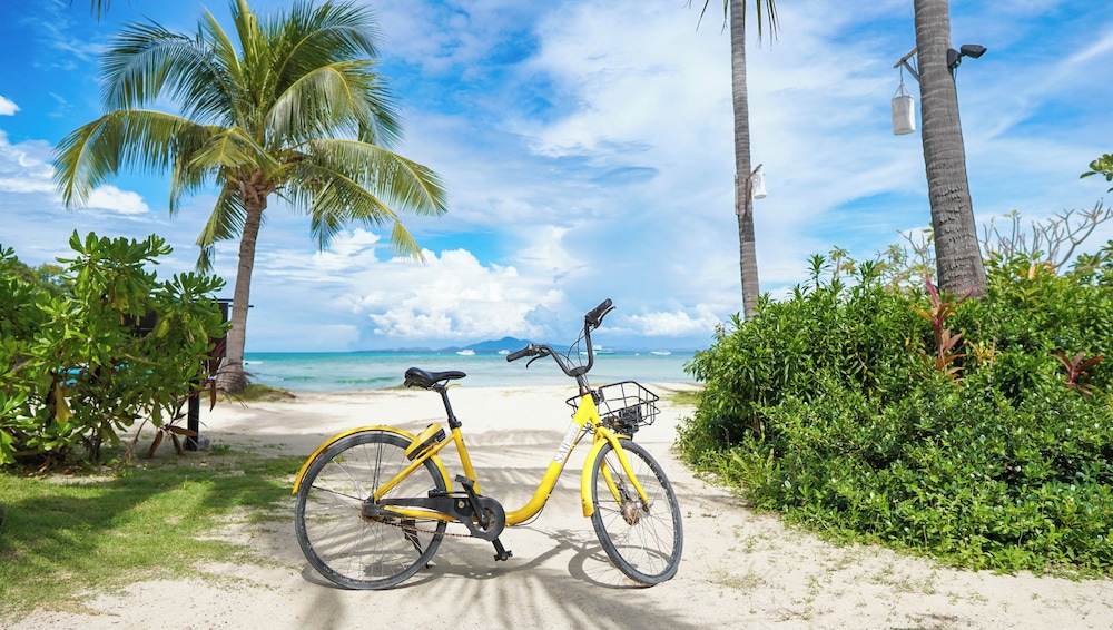 פעילויות וכושר