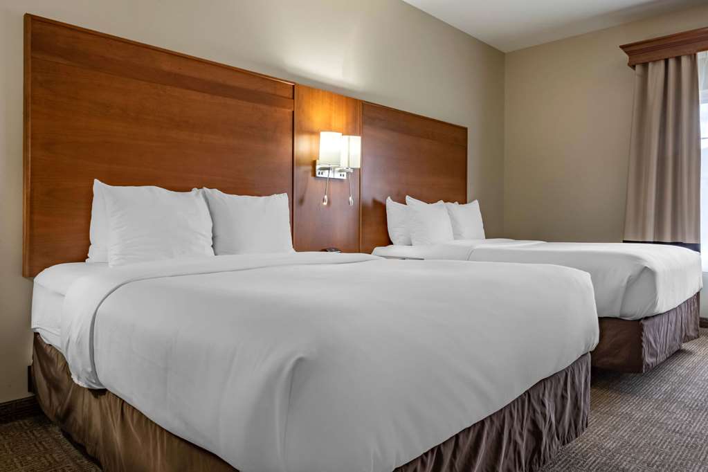 Comfort Suites Hotel and Conference Center - photo 6