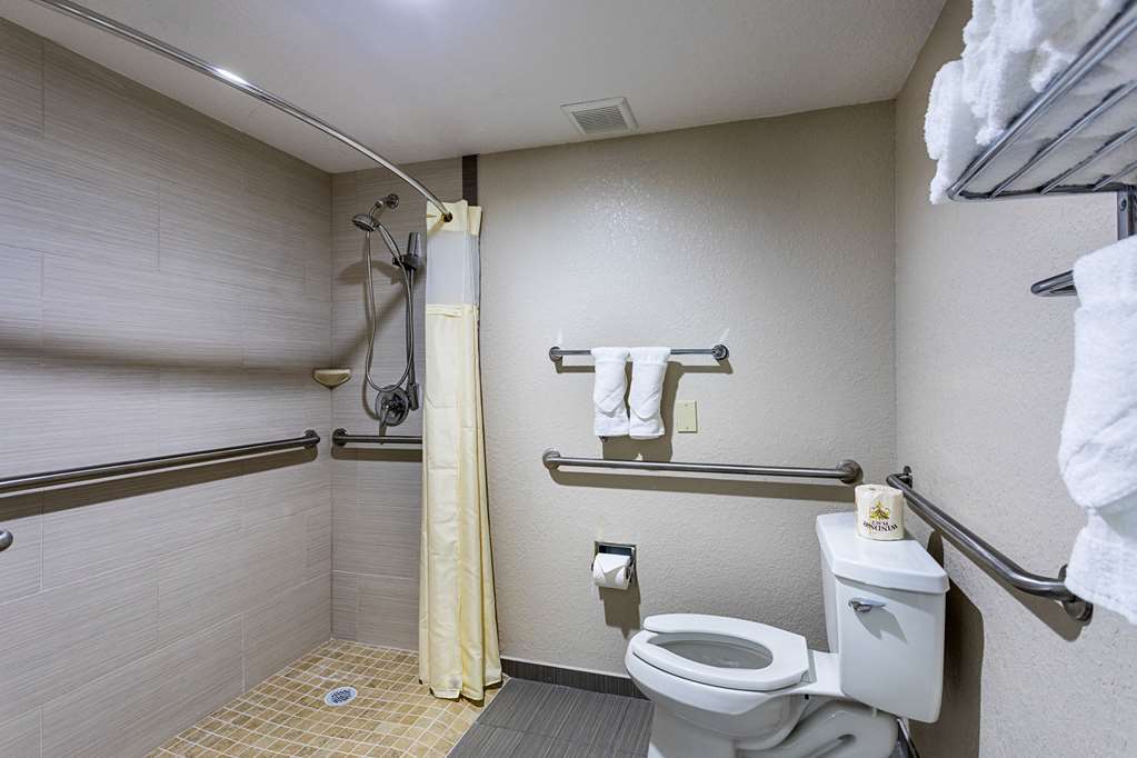Quality Inn & Suites Heritage Park - photo 11