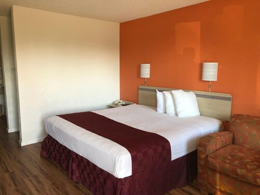Delta Inn - photo 7