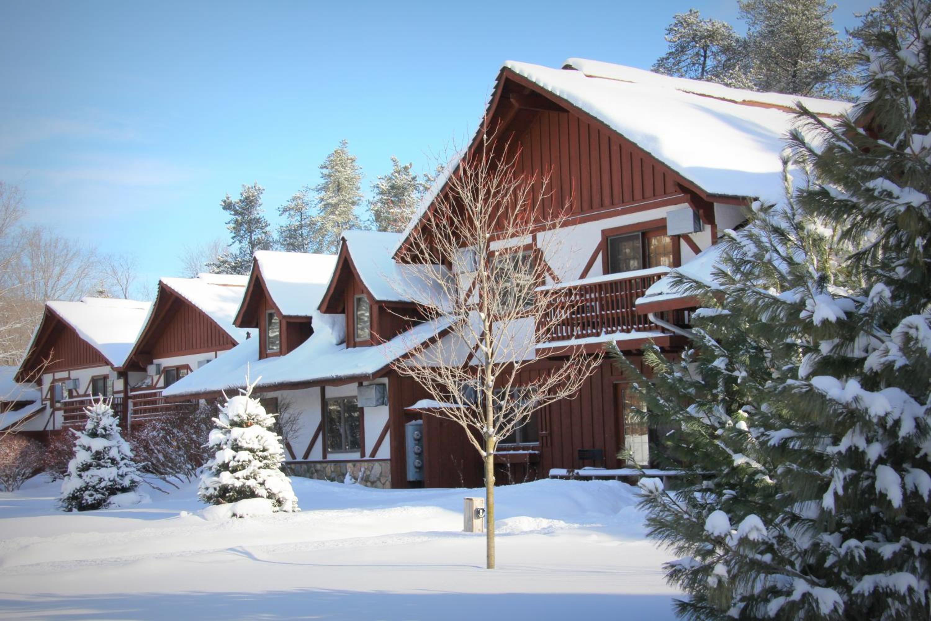 Crystal Mountain - photo 4