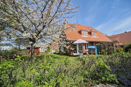 Nis Puk in Unknown City, Germany