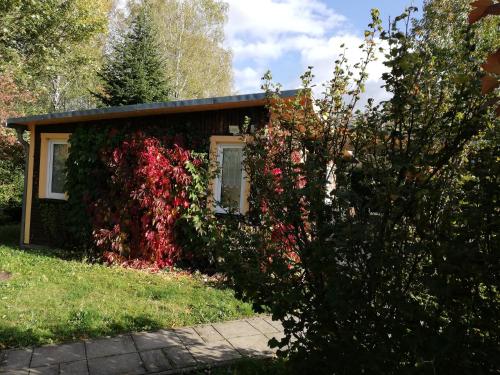 Ferienhaus Waldglück - carbon neutral hotel in Unknown City