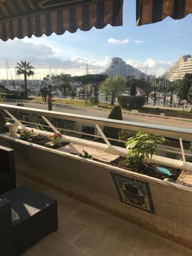 Villeneuve Loubet Marina Baie Des Anges Au Bon Vivre 2 Pieces Le Ducal 60m2 Luxe in Villeneuve-Loubet, France