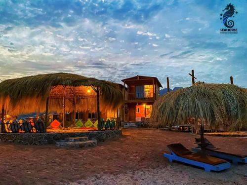 Sea Horse in Nuwaybi`A, Egypt