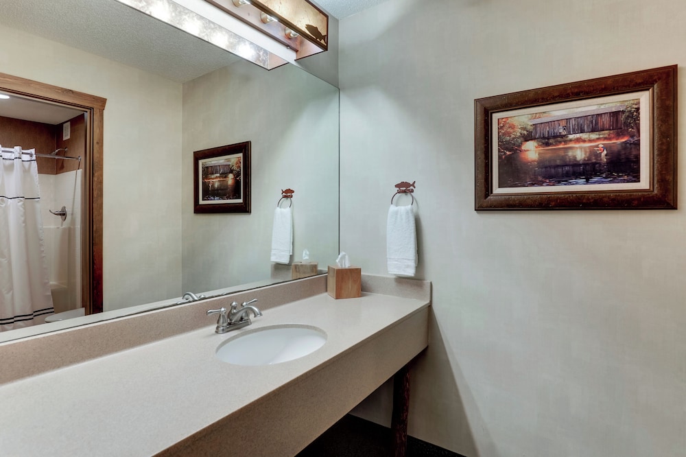 Stoney Creek Hotel St. Joseph - photo 29