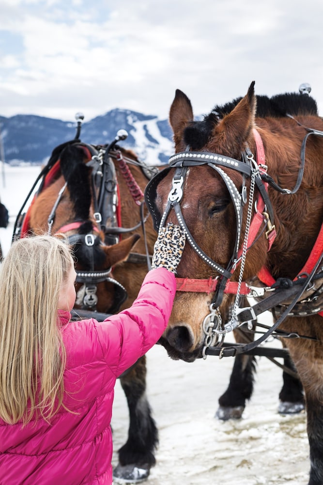 Four Seasons Resort Jackson Hole - photo 234