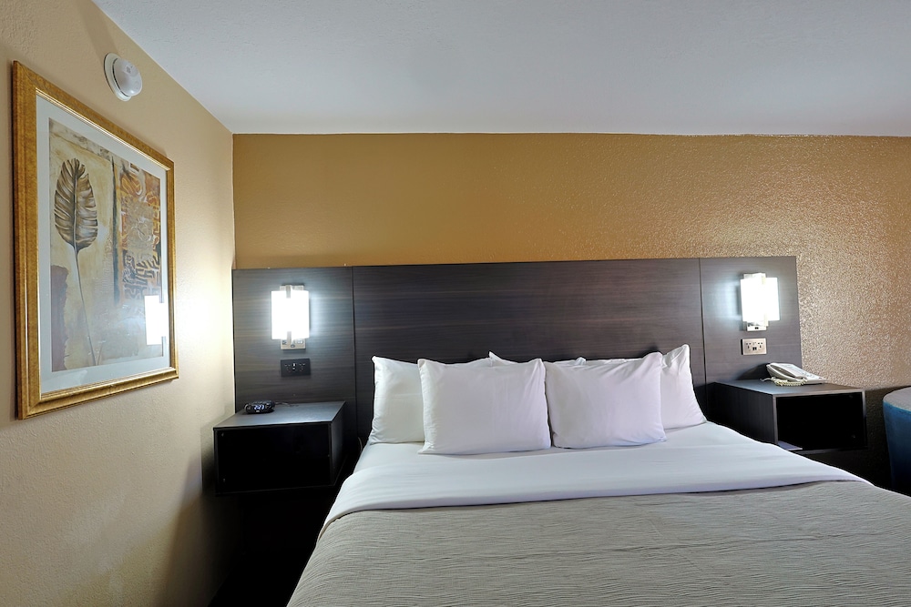 Quality Inn Kennedy Space Center - photo 29