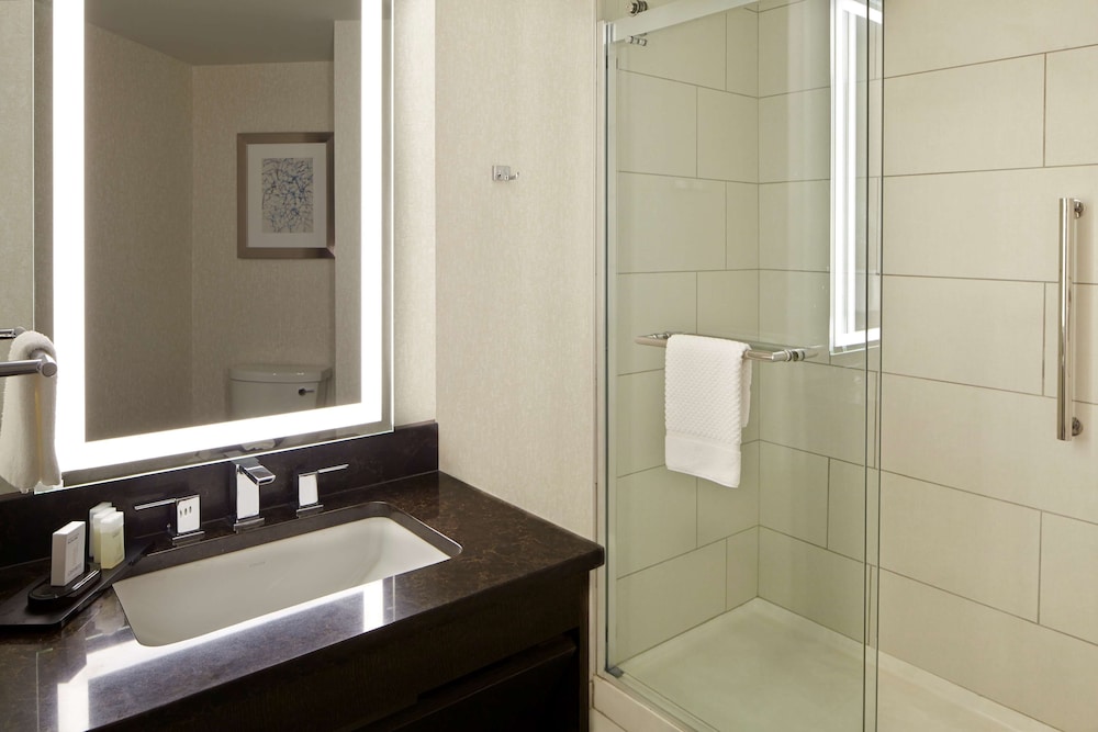 Embassy Suites by Hilton Atlanta Galleria - photo 27