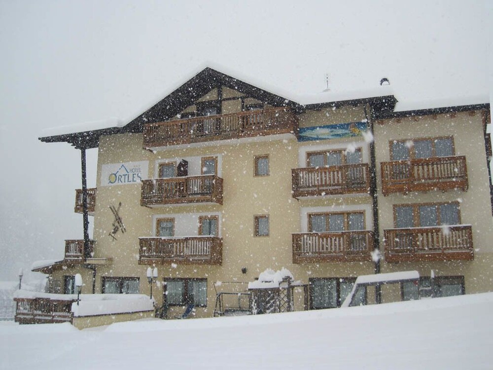 Hotel Ortles Dolomiti Walking & Spa in Cogolo, Italy