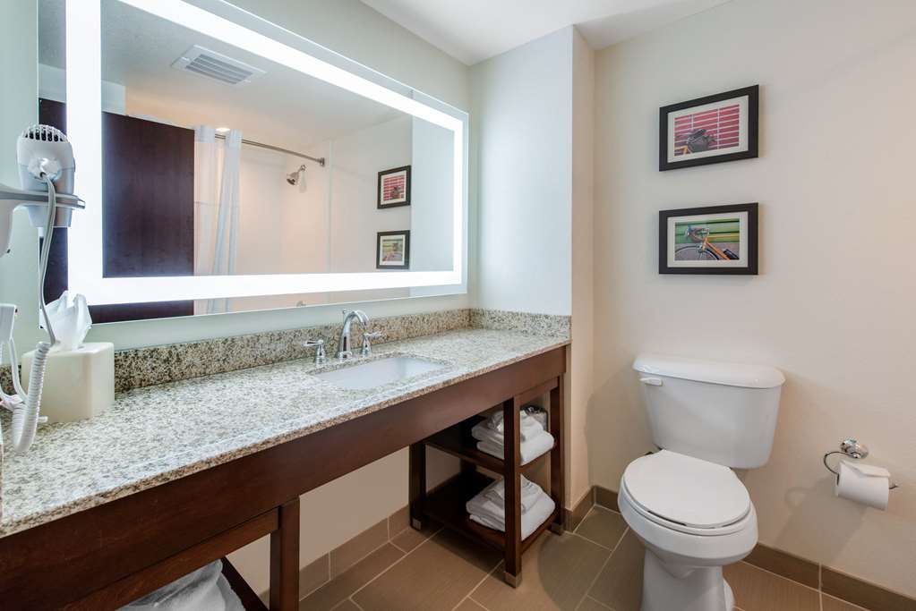 Comfort Suites Denver International Airport - photo 7