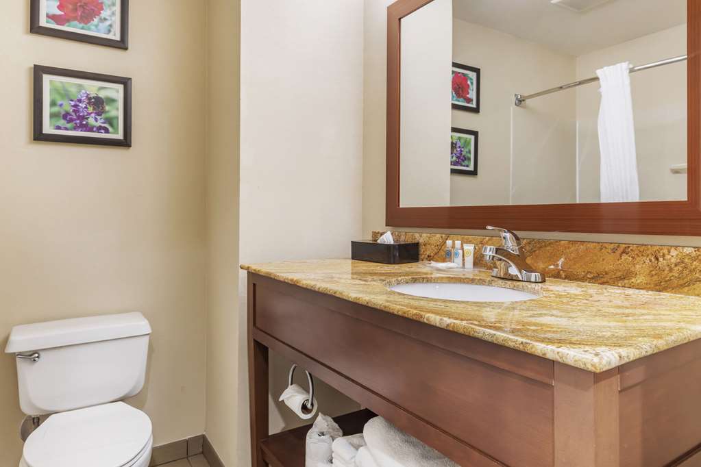 Comfort Inn & Suites Temple Medical Center - photo 32