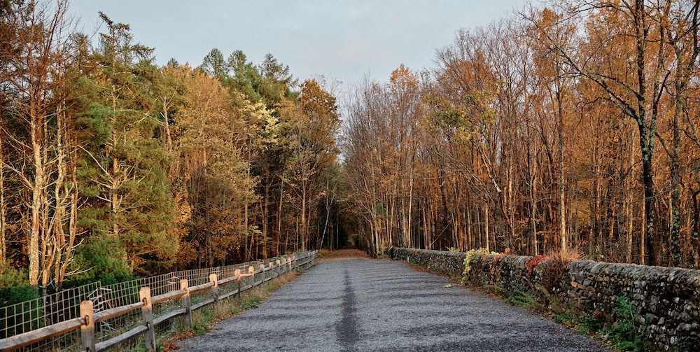 AutoCamp Catskills - photo 48