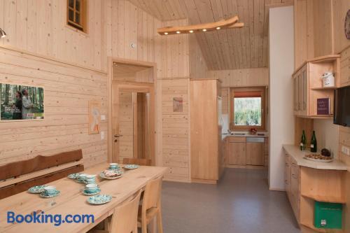 Ferienhaus Schwarzenbach — Altmuenster — photo 4