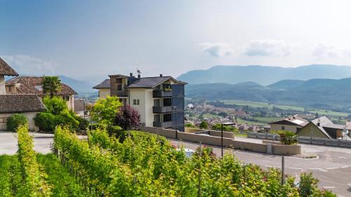 Apartment Mendelbahn 1 — 4-Star Luxury Hotel in Caldaro Sulla Strada Del Vino, Italy