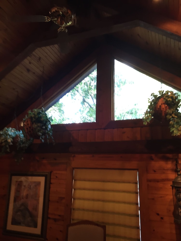 Cherokee mountain log cabin resort - photo 7