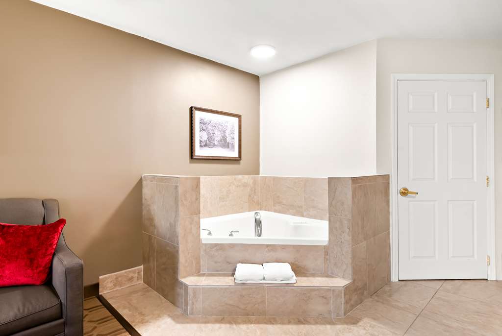 Best Western Palmyra Inn & Suites - photo 27