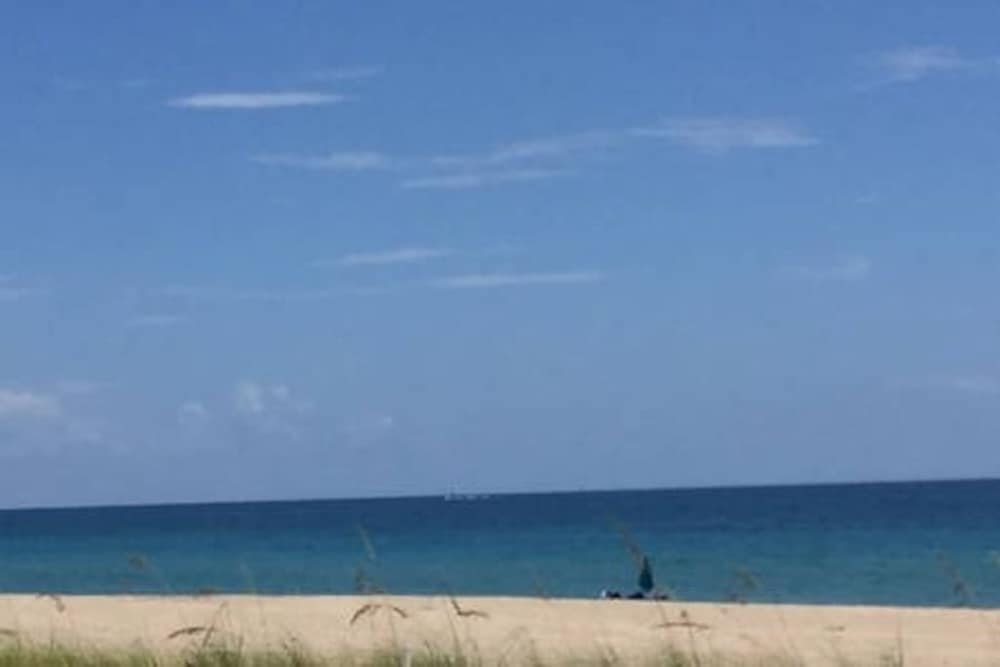 Historic Palm Beach Hotel - photo 45