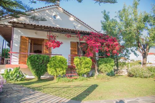 Demetra — 4-Star Luxury Hotel in Mytikas, Greece