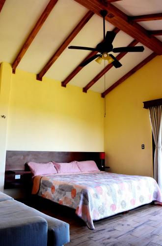 El Gran T’zunun pet-friendly hotel San Francisco Koben