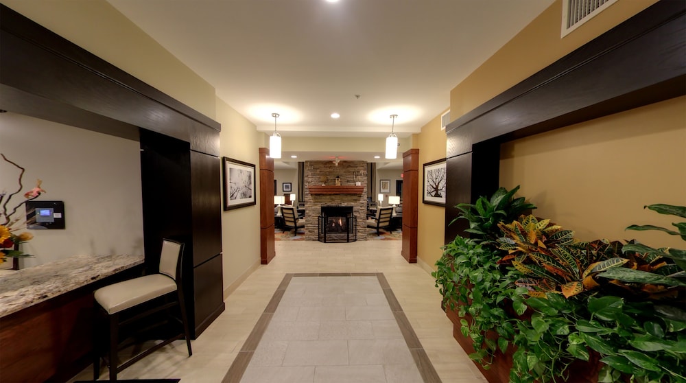 Staybridge Suites Ann Arbor Univ of Michigan by IHG - photo 39