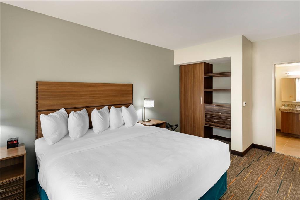 MainStay Suites Lancaster Dallas South - photo 7