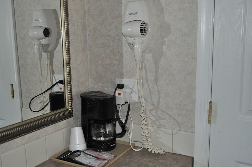 Atrium Inn - photo 21