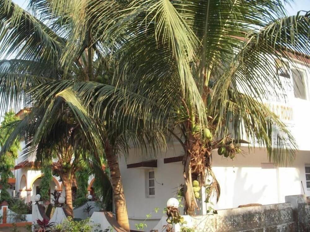 Macedo Palms Lemonmint — Mormugao — photo 5