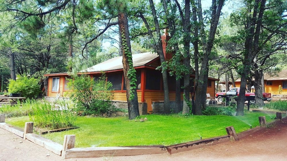 The Place at Pinetop - photo 5