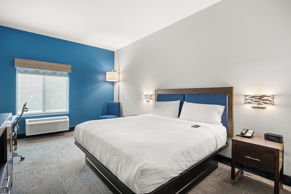 Holiday Inn Express Asheville Woodfin by IHG - photo 19