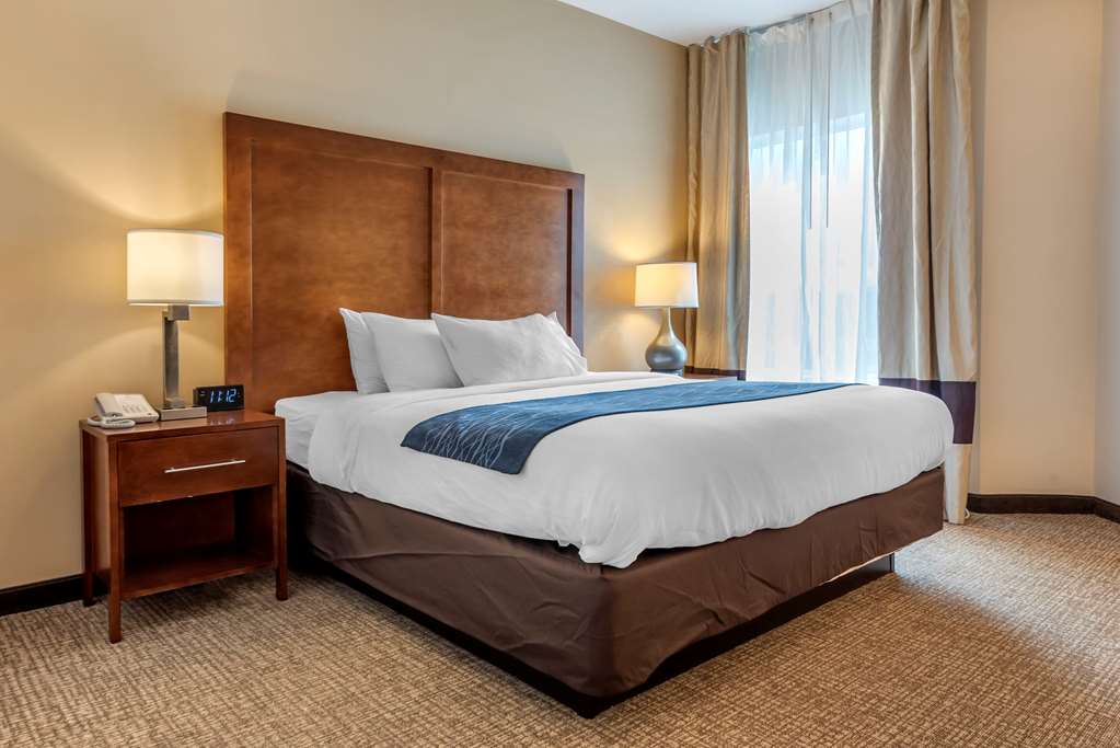 Comfort Inn Apalachin Binghamton W Route 17 - photo 13