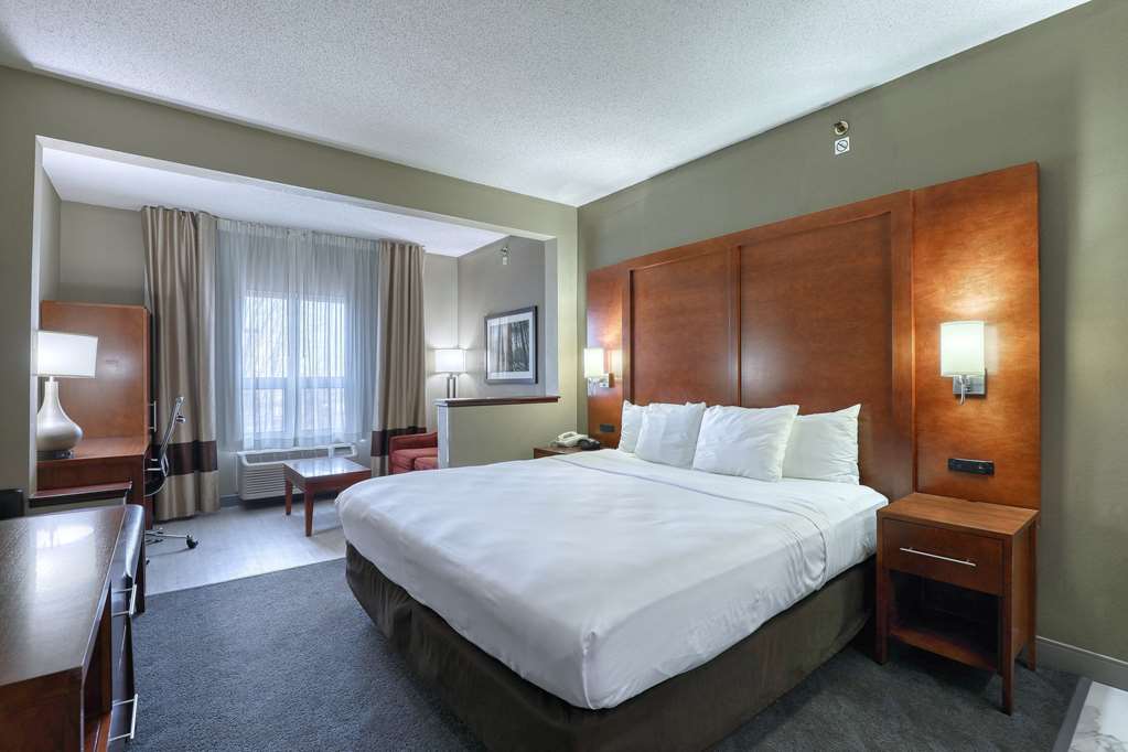 Comfort Suites Madison West Middleton - photo 24