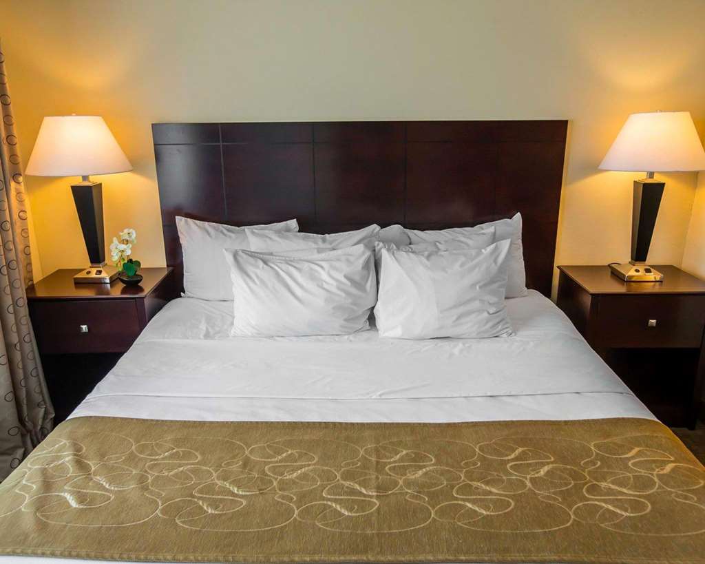 Comfort Suites University Area Notre Dame South Bend - photo 22