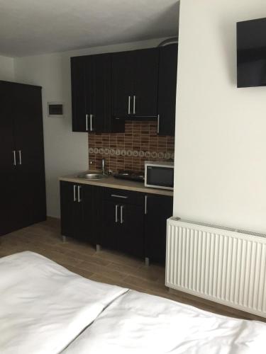 Mini hotel Megora — hotel in Rakhiv