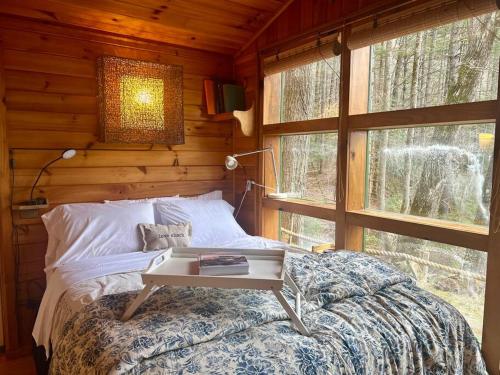 Private Mtn Love Shack w fast wifi BBQ & view in Franklin, United States