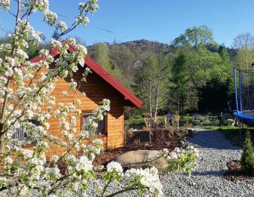 Księżycowe Domki w Bieszczadach in Baligrod, Poland