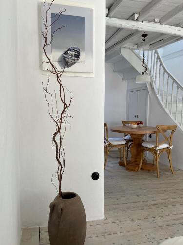 Raphael Skiathos Living Olga — Skiathos — photo 2