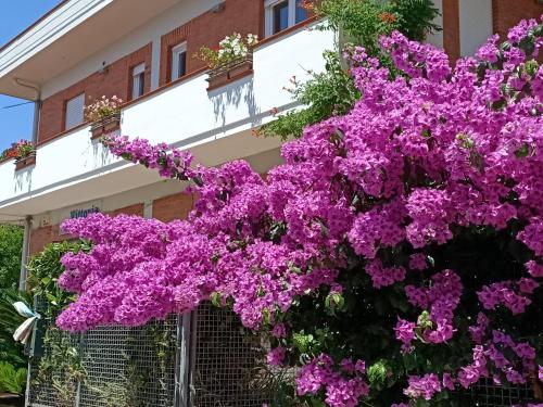 Big Sabaudia — 4-Star Luxury Hotel in Sabaudia, Italy