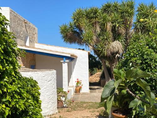 Can Xicu Castello — Sant Francesc De Formentera