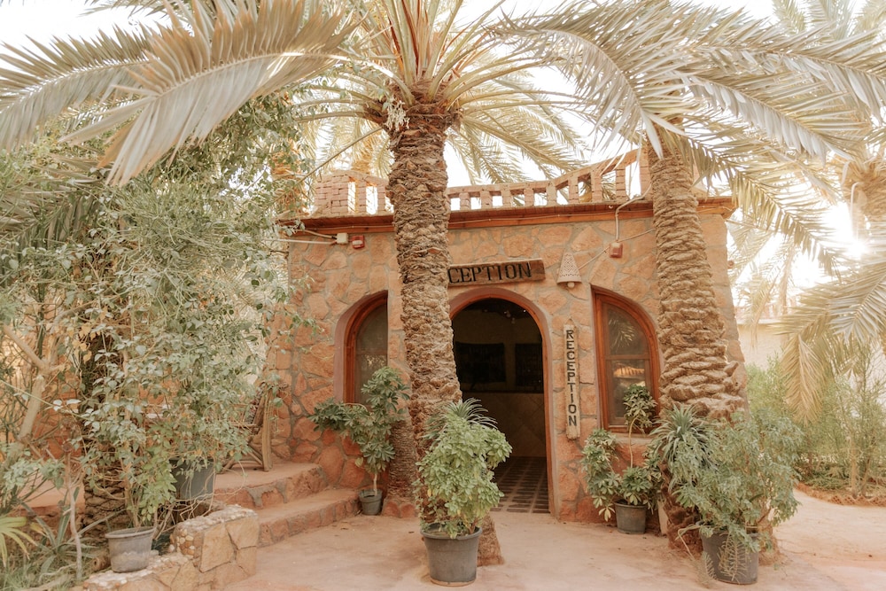 Siwa Safari Paradise Hotel — Siwa Oasis