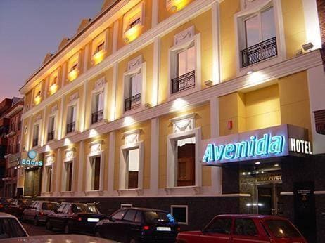 Hotel Avenida Leganes — Leganes