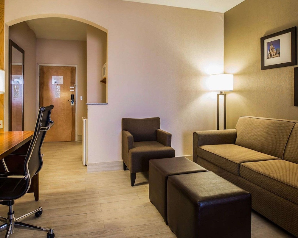 Comfort Suites Stafford Near Sugarland - photo 11