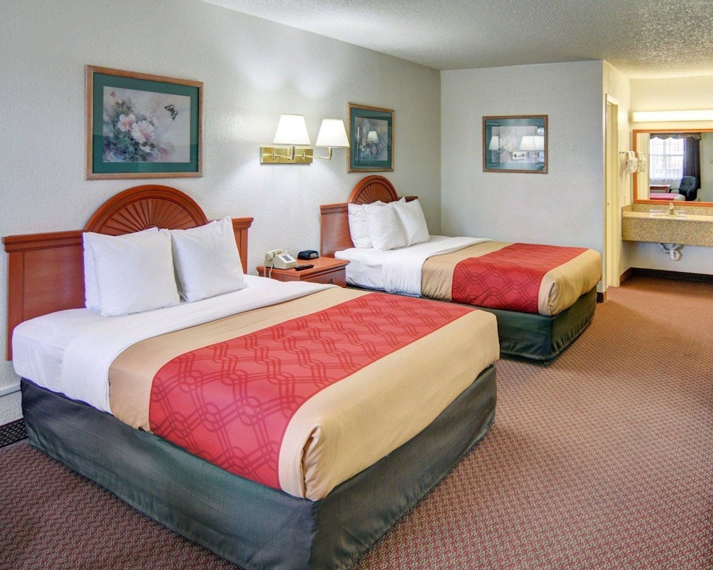 Super 8 by Wyndham Decatur Texas - photo 8