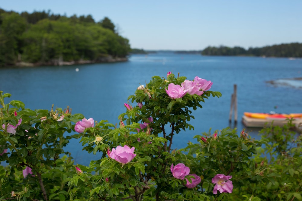 Ocean Gate Inn - photo 93