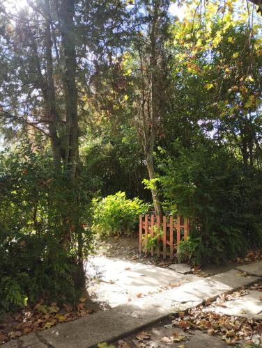 Isla Curubica Premium in Tigre, Argentina