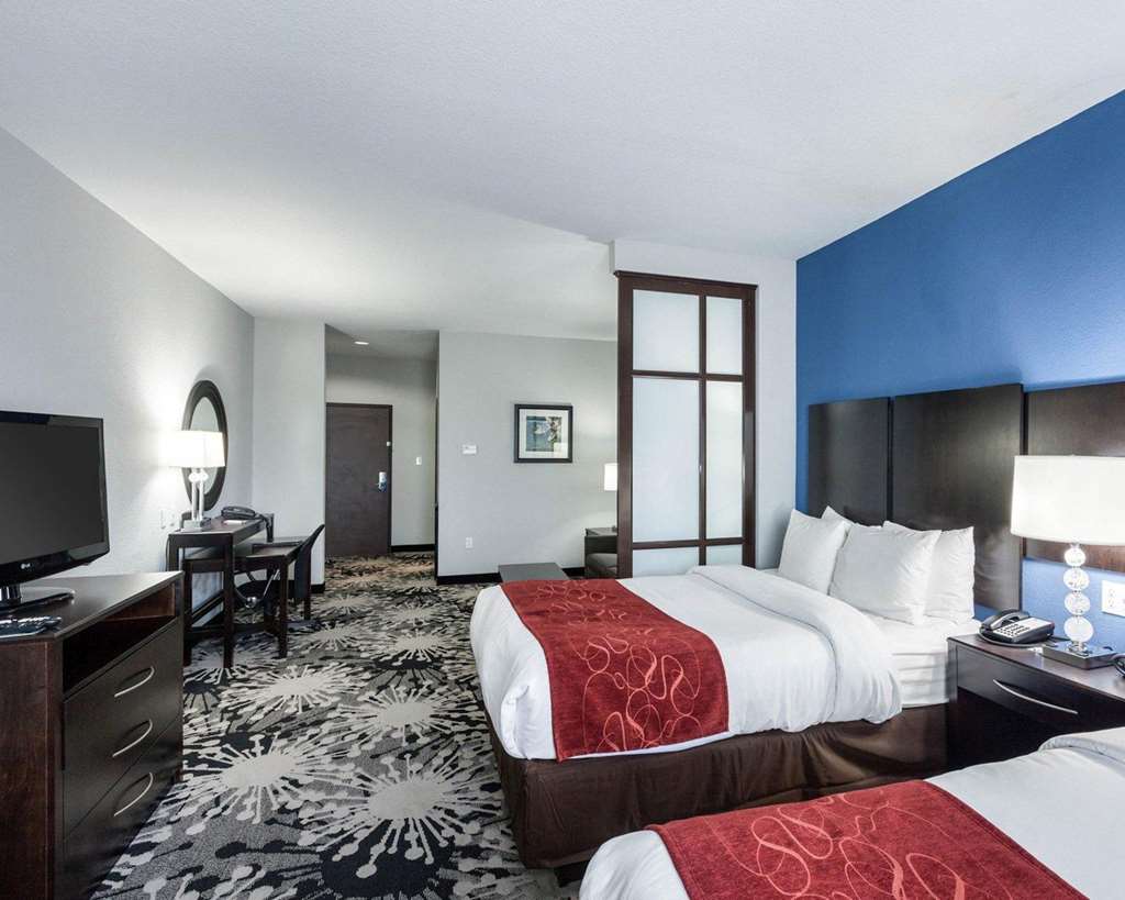 Comfort Suites Greenville - photo 12